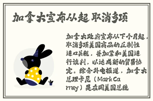 久久久久亚洲Av片无码